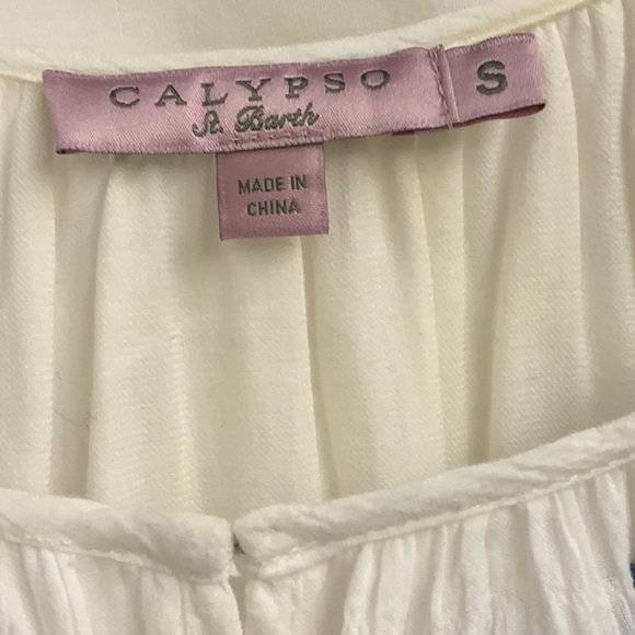 Calypso St. Bart Swimsuit Cover-Up Dress with Lace and Blue Embroidery - Picture 7 of 8